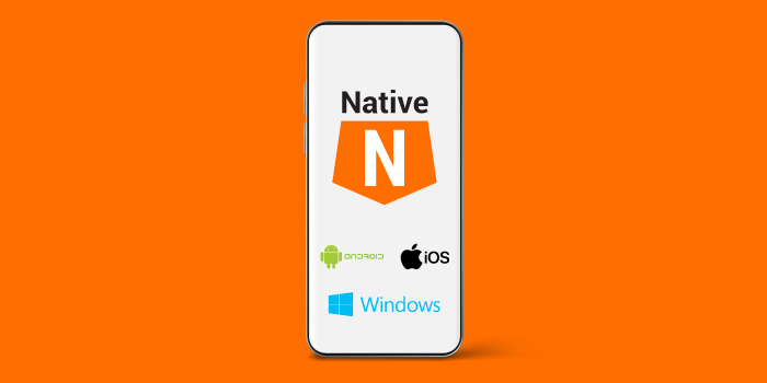 Native Mobile App Development