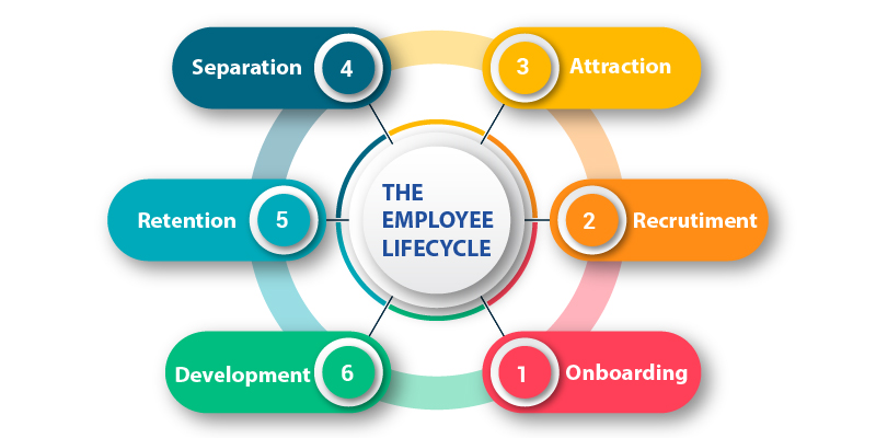 Periods In The Lifecycle Of An Employee-01